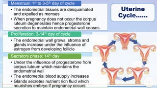 4d. Signs and Symptoms of Pregnancy 2.pptx