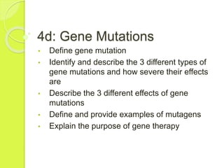 4d: Gene Mutations 
• Define gene mutation 
• Identify and describe the 3 different types of 
gene mutations and how severe their effects 
are 
• Describe the 3 different effects of gene 
mutations 
• Define and provide examples of mutagens 
• Explain the purpose of gene therapy 
 