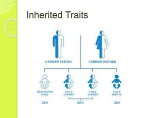 Inherited Traits 
