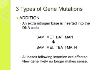 3 Types of Gene Mutations 
 ADDITION 
◦ An extra nitrogen base is inserted into the 
DNA code 
SAM MET BAT MAN 
 
SAM MEL TBA TMA N 
◦ All bases following insertion are affected. 
New gene likely no longer makes sense. 
 