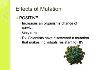 Effects of Mutation 
 POSITIVE 
◦ Increases an organisms chance of 
survival 
◦ Very rare 
◦ Ex. Scientists have discovered a mutation 
that makes individuals resistant to HIV 
 