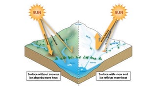 Understanding Weather, Climate, and Their Impact on Our Planet | PDF