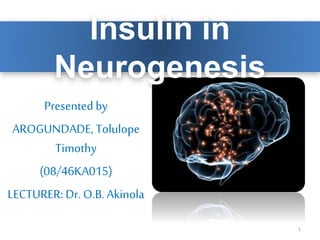 Insulin in
Neurogenesis
Presented by
AROGUNDADE, Tolulope
Timothy
(08/46KA015)
LECTURER: Dr. O.B.Akinola
1
 