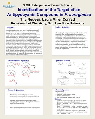 SJSU Undergraduate Research Grants
Identification of the Target of an
Antipyocyanin Compound in P. aeruginosa
Thu Nguyen, Laura Miller Conrad
Department of Chemistry, San Jose State University
Citations
Abstract
Synthesis SchemeEnrichable PAL Approach
Project Activities
Research Questions Acknowledgement
Antibiotic resistance is an ever worsening problem. According to the
Center for Disease Control, there were at least 2 million illnesses
caused by antibiotic resistant bacteria, resulting in at least 23,000
deaths in the U.S. per year.(1) Pseudomonas aeruginosa is an
opportunistic pathogen, meaning it infrequently causes infection in
healthy individuals but is acquired by immune-compromised
hospitalized patients.(2) While P. aeruginosa has evolved to become
more resistant to antibiotics, an antivirulence approach is a new
strategy developed to be an effective and long lasting treatment option.
Pyocyanin is a key virulence factor important to P. aeruginosa. Dr. Miller
Conrad has successfully synthesized an inhibitor for pyocyanin
production, however, its molecular target has not been identified.(3)
The purpose of my project is to develop an antipyocyanin analog with a
photoaffinity ligand and a terminal alkyne. The photoaffinity label on
the ligand has the ability to make covalent bond with the target protein
and the terminal alkyne will allow us to attach biotin to the target
protein/inhibitor complex. The target protein can then be isolated on a
streptavidin column. The protein can be characterized and identified by
mass spectrometry and proteomic analysis.
1. Antibiotic Resistance Threats in the United States, 2013
(Centers for Disease Control and Prevention).
2. Fujitani, S.; Moffett, K. S.; Yu, V. L. Pseudomonas aeruginosa.
2015, Antimicrobe.com.
3. Miller, L. C.; O’Loughlin, C. T.; Zhang, Z.; Siryaporn, A.; Silpe, J.
E.; Bassler, B. L.; Semmelhack, M. F. J. Med. Chem. 2015, 58 (3),
1298–1306.
4. O’Loughlin, C. T.; Miller, L. C.; Siryaporn, A.; Drescher, K.;
Semmelhack, M. F.; Bassler, B. L. Proc. Natl. Acad. Sci. U. S. A.
2013, 110, 17981–17986.
After studying the antipyocyanin compound’s structure and its
relationship to its antipyocyanin activity, (4) the model
compound was designed to incorporate the terminal alkyne
handle. Based on previous studies, the incorporation of the
diazirine (PAL) does not affect activity greatly. Therefore, this
compound will be tested in vivo to determine if the alkyne has
any effect on the compound’s antipyocyanin activity. If the
antipyocyanin activity remains the same as previously tested
antipyocyanin compound, we can proceed to synthesize an
enrichable PAL compound, then perform proteomics analysis to
identify its target protein, and finally perform mass spectroscopy
to verify the target protein.
Special thanks to:
- Dr. Laura Miller Conrad
- The Miller Conrad Research Group
- San Jose State University
- SJSU Undergraduate Research Grant Program
1. Will attaching a terminal alkyne to our potent
antipyocyanin compound affect its antipyocyanin activity?
2. Is blocking pyocyanin production enough to disable
pathogenicity in P. aeruginosa, allowing the host’s immune
system to clear the bacteria?
3. How is pyocyanin produced and regulated in P. aeruginosa?
 