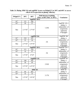 Hunter 34
Table 21: Plating IPDF D1 and supIPDF lysates on 594[p613*] at 30ºC and 40ºC to assess
effects of cI repression on plating efficiency
594[p613*] 30ºC 40ºC
Fold increase in plating
(Titre at 40ºC/Titre at 30ºC) Conclusion
SupIPDF D5-2
10-7 131 266
1.28X
SupIPDF D5-2
plating is
independent of
exogenously
expressed
67bpΔgpD
10-8 30 27
Titre 2.1*109 2.7*109
supIPDF B4 SupIPDF B4
plating is
independent of
exogenously
expressed
67bpΔgpD
10-7 218 547
2X
10-8 32 54
Titre 2.7*109 5.4*109
SupIPDF D5-1 SupIPDF D5-1
plating is
independent of
exogenously
expressed
67bpΔgpD
10-7 111 329
3X
10-8 14 47
Titre 1.3*109 4*109
SupIPDF D1 SupIPDF D1
plating is
independent of
exogenously
expressed
67bpΔgpD
10-7 198 592
2.56X
10-8 30 69
Titre 2.5*109 6.4*109
IPDF D1 IPDF D1
plating is
independent of
exogenously
expressed
67bpΔgpD
10-7 84 401
3.17X
10-8 16 35
Titre 1.2*109 3.8*109
 
