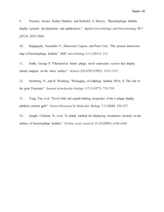 Hunter 40
9. Nicastro, Jessica, Katlyn Sheldon, and Roderick A. Slavcev. "Bacteriophage lambda
display systems: developments and applications." Applied microbiology and biotechnology 98.7
(2014): 2853-2866.
10. Rajagopala, Seesandra V., Sherwood Casjens, and Peter Uetz. "The protein interaction
map of bacteriophage lambda." BMC microbiology 11.1 (2011): 213.
11. Smith, George P. "Filamentous fusion phage: novel expression vectors that display
cloned antigens on the virion surface." Science 228.4705 (1985): 1315-1317.
12. Sternberg, N., and R. Weisberg. "Packaging of coliphage lambda DNA: II. The role of
the gene D protein." Journal of molecular biology 117.3 (1977): 733-759.
13. Yang, Fan, et al. "Novel fold and capsid-binding properties of the λ-phage display
platform protein gpD." Nature Structural & Molecular Biology 7.3 (2000): 230-237.
14. Zanghi, Christine N., et al. "A simple method for displaying recalcitrant proteins on the
surface of bacteriophage lambda." Nucleic acids research 33.18 (2005): e160-e160.
 