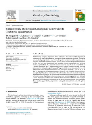 Veterinary Parasitology 205 (2014) 397–400
Contents lists available at ScienceDirect
Veterinary Parasitology
journal homepage: www.elsevier.com/locate/vetpar
Short Communication
Susceptibility of chickens (Gallus gallus domesticus) to
Trichinella patagoniensis
M. Pasqualettia,∗
, F. Fari˜naa,c
, E. Falzonid
, N. Cardilloa,c
, T. Aronowicza
,
S. Krivokapichb
, A. Rosaa
, M. Ribicicha
a
Cátedra de Parasitología y Enfermedades Parasitarias, Facultad de Ciencias Veterinarias, Universidad de Buenos Aires, Av. Chorroarín
280, C1427CWO Buenos Aires, Argentina
b
Departamento de Parasitología, INEI, ANLIS, Dr. Malbrán, Buenos Aires, Argentina
c
Consejo Nacional de Investigaciones Cientíﬁcas y Técnicas (CONICET), Buenos Aires, Argentina
d
Cátedra de Enfermedades Infecciosas, Facultad de Ciencias Veterinarias, Universidad de Buenos Aires, Av. Chorroarín 280, C1427CWO
Buenos Aires, Argentina
a r t i c l e i n f o
Article history:
Received 10 March 2014
Received in revised form 26 June 2014
Accepted 28 June 2014
Keywords:
Trichinella patagoniensis
Chicken
Histopathology
Infection
a b s t r a c t
Trichinella spp. is a genus of parasites that is widespread all over the world. In Argentina, T.
spiralis was for years the only species involved in human and animal outbreaks. During the
last decade, T. patagoniensis, a new Trichinella species, was discovered in Argentina. Up to
now, this species has only been found in cougars (Puma concolor). Experimental infections
in pigs, cats, mice and rats with this new genotype showed that cats and mice were the
most susceptible hosts. The aim of the present work was to evaluate the susceptibility of
chickens to infection with T. patagoniensis. In order to study the intestinal and muscular
phase, and the histopathological changes, 27 Leghorn chickens were inoculated per os with
1000 muscle larvae of T. patagoniensis and were euthanized on days 4, 5, 6, 7, 11, 14, 21, 28
and 35. Adult worms of T. patagoniensis were recovered from the small intestine of chick-
ens up to day 14 p.i. Gross examination of small intestine showed a moderate congestive
appearance. Microscopically, an inﬂammatory response with lymphocytes and eosinophils
in lamina propria, slight hyperemia, oedema and some haemorrhagic areas were detected.
Lesions observed in chickens were similar to those described in different animal species
during the intestinal phase. No muscular larvae were recovered from the muscle samples.
These results suggest that T. patagoniensis is not capable to complete its entire life cycle in
chickens.
© 2014 Elsevier B.V. All rights reserved.
1. Introduction
Trichinellosis is a food-borne zoonotic disease trans-
mitted in Argentina primarily by the consumption of
undercooked or raw pork meat (Ribicich et al., 2005). The
average number of people infected per year from 2008
to 2010 was 417. In 2013 the number of human cases
∗ Corresponding author. Tel.: +54 1145802820.
E-mail address: mpasqualetti@fvet.uba.ar (M. Pasqualetti).
notiﬁed by the Argentinian Ministry of Health was 1159
(Anonymous, 2013a).
Although molecular analysis is not always performed,
the main species of Trichinella frequently involved in
human and animal outbreaks is Trichinella spiralis. Never-
theless, in 2004 near the locality of Trapalcó, Río Negro,
Argentina, Krivokapich et al. (2008) isolated a new geno-
type of the genus Trichinella in a cougar: Trichinella T12.
Moreover, in 2008 near the locality of El Calafate (Santa
Cruz province) and in 2009 in the district of La Paz
(Catamarca province), Trichinella T12 muscle larvae were
http://dx.doi.org/10.1016/j.vetpar.2014.06.033
0304-4017/© 2014 Elsevier B.V. All rights reserved.
 