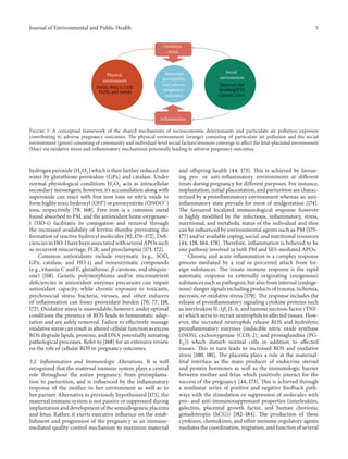 Journal of Environmental and Public Health 5
Social
environment
Maternal diet
Smoking/ETS
Chronic stress
Abnormal
placentation
and adverse
pregnancy
outcomes
Physical
environment
PM10, PM2.5, UFP,
PAHs, and metals
Oxidative
stress
Inflammation
Figure 1: A conceptual framework of the shared mechanisms of socioeconomic determinants and particulate air pollution exposure
contributing to adverse pregnancy outcomes. The physical environment (orange) consisting of particulate air pollution and the social
environment (green) consisting of community and individual-level social factors/stressors converge to affect the fetal-placental environment
(blue) via oxidative stress and inflammatory mechanisms potentially leading to adverse pregnancy outcomes.
hydrogen peroxide (H2O2) which is then further reduced into
water by glutathione peroxidase (GPx) and catalase. Under
normal physiological conditions H2O2 acts as intracellular
secondary messengers; however, it’s accumulation along with
superoxide can react with free iron ions or nitric oxide to
form highly toxic hydroxyl (OH∙
) or peroxynitrite (ONOO−
)
ions, respectively [70, 168]. Free iron is a common metal
found absorbed to PM, and the antioxidant heme oxygenase-
1 (HO-1) facilitates its conjugation and removal through
the increased availability of ferritin thereby preventing the
formation of reactive hydroxyl molecules [92, 170–172]. Defi-
ciencies in HO-1 have been associated with several APOs such
as recurrent miscarriage, FGR, and preeclampsia [171, 172].
Common antioxidants include enzymatic (e.g., SOD,
GPx, catalase, and HO-1) and nonenzymatic compounds
(e.g., vitamin C and E, glutathione, 𝛽-carotene, and ubiquin-
one) [118]. Genetic polymorphisms and/or micronutrient
deficiencies in antioxidant enzymes precursors can impair
antioxidant capacity, while chronic exposure to toxicants,
psychosocial stress, bacteria, viruses, and other inducers
of inflammation can foster prooxidant burden [70, 77, 118,
172]. Oxidative stress is unavoidable; however, under optimal
conditions the presence of ROS leads to homeostatic adap-
tation and are safely removed. Failure to effectively manage
oxidative stress can result in altered cellular function as excess
ROS degrade lipids, proteins, and DNA potentially initiating
pathological processes. Refer to [168] for an extensive review
on the role of cellular ROS in pregnancy outcomes.
3.2. Inflammation and Immunologic Alterations. It is well
recognized that the maternal immune system plays a central
role throughout the entire pregnancy, from preimplanta-
tion to parturition, and is influenced by the inflammatory
response of the mother to her environment as well as to
her partner. Alternative to previously hypothesized [173], the
maternal immune system is not passive or suppressed during
implantation and development of the semiallogeneic placenta
and fetus. Rather, it exerts executive influence on the estab-
lishment and progression of the pregnancy as an immune-
mediated quality control mechanism to maximize maternal
and offspring health [44, 173]. This is achieved by favour-
ing pro- or anti-inflammatory environments at different
times during pregnancy for different purposes. For instance,
implantation, initial placentation, and parturition are charac-
terized by a proinflammatory environment whereas an anti-
inflammatory state prevails for most of midgestation [174].
The favoured localized immunological response however
is highly modified by the infectious, inflammatory, stress,
nutritional, and metabolic status of the individual and thus
can be influenced by environmental agents such as PM [175–
177] and/or available coping, social, and nutritional resources
[44, 128, 164, 178]. Therefore, inflammation is believed to be
one pathway involved in both PM and SES-mediated APOs.
Chronic and acute inflammation is a complex response
process mediated by a real or perceived attack from for-
eign substances. The innate immune response is the rapid
automatic response to externally originating (exogenous)
substances such as pathogens, but also from internal (endoge-
nous) danger signals including products of trauma, ischemia,
necrosis, or oxidative stress [179]. The response includes the
release of proinflammatory signaling cytokine proteins such
as interleukins IL-1𝛽, IL-6, and tumour necrosis factor (TNF-
𝛼) which serve to recruit neutrophils to affected tissues. How-
ever, the recruited neutrophils release ROS and hydrolytic
proinflammatory enzymes (inducible nitric oxide synthase
(iNOS), cyclooxygenase (COX-2), and prostaglandins (PG-
E2)) which disturb normal cells in addition to affected
tissues. This in turn leads to increased ROS and oxidative
stress [180, 181]. The placenta plays a role at the maternal-
fetal interface as the main producer of endocrine steroid
and protein hormones as well as the immunologic barrier
between mother and fetus which positively interact for the
success of the pregnancy [44, 173]. This is achieved through
a nonlinear series of positive and negative feedback path-
ways with the stimulation or suppression of molecules with
pro- and anti-immunosuppressant properties (interleukins,
galectins, placental growth factor, and human chorionic
gonadotropin (hCG)) [182–184]. The production of these
cytokines, chemokines, and other immune-regulatory agents
mediates the coordination, migration, and function of several
 