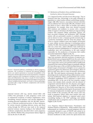 6 Journal of Environmental and Public Health
Fetal or
infant
demise LBW PTB
I/R injury
placental debris
Fetal growth
restriction
Spontaneous
preterm labour
PPROM
Vascular lesions,
thrombosis,
atherosis, and
placental infarcts
Endothelial dysfunction
Hypertension
Preeclampsia
Coagulation abnormalities
Defective deep
placentation
Reduced or intermittent placental
oxygen and nutrient perfusion
Fetal adaptation
and programming
Infertility,
implantation
failure and
miscarriage
Excess oxidative stress and inflammation
Immune, metabolic and vascular maladaptation
Social
environment
Maternal-paternal
biological factors
Physical
environment
↑ sFlt1 ↑ sEng
↓ PlGF ↓ VEGF
Figure 2: Proposed pathways contributing to adverse pregnancy
outcomes. The co-presence of maternal and paternal biological
factors can result in protection or increased susceptibility to the
interaction with the physical and social environments. Cumulative
negative exposures early in pregnancy resulting in excess oxidative
stress and inflammation may cause a cascade of events leading to
defective deep placentation. Depending on the degree of severity, the
reduced transplacental perfusion can result in various pathologies
associated with a range of obstetric complications and outcomes
[60, 61, 69, 70].
maternal immune cells (e.g., uterine natural killer cells
(uNK)) that participate in early pregnancy events such
as endometrial receptivity of embryo implantation, tissue
remodeling, immune tolerance, and vascular adaptation to
invading placental trophoblast cells [44, 182–184]. Interfer-
ence or aberrant production/secretion of these substances
by various stressors including infection, toxins, and those
acting through the HPA-axis may result in the impaired
maternal immune response leading to the hallmark DDP
syndrome complications described above (early pregnancy
loss, PIH/PE, PROM, FGR, and premature labour, Figure 2)
[44, 61, 69, 134, 175, 185–187].
3.3. Mechanisms of Oxidative Stress and Inflammation
Involved in Adverse Perinatal Outcomes
3.3.1. Impaired Fertility and (Recurrent) Miscarriage. Due to
immortal time bias, miscarriage is not easily measured in
population or cohort studies without careful design method-
ologies [188, 189]; however, associations between infertility
and air pollution have been made [190, 191]. Oxidative stress
has shown to have a direct effect on fertility and embryo
development. For example, obese mice showed increased
ROS synthesis and oxidation in oocytes with a reduced
ability of zygotes to develop to the blastocyst stage providing
evidence that impaired cellular antioxidant capacity can
limit successful ovulation and fertilization [118]. Dividing
mitotic cells are particularly sensitive to oxidative damage
and are shown to enter a transient growth-arrested state as
a protective mechanism until the stress has passed. Thus,
severe or chronic oxidative stress may hamper cell division
or cause cellular necrosis reducing or terminating embryo
viability [72, 169]. Alternatively, an exaggerated inflammatory
state via a viral, toxic, and/or allostatic load could lead to
a maternal immune maladaptation to conception restricting
trophoblast stem cell accumulation in the early embryo
responsible for the production of hormones that enables
successful implantation (Figure 2) [44, 72].
Oxidative stress is implicated in first trimester miscar-
riage from premature placental perfusion of maternal oxy-
genated blood and accompanying ROS into the early embry-
onic environment [192]. Early embryo development occurs in
a low oxygen state, and it is not until the tenth to twelfth week
of gestation that maternal blood begins to gradually infiltrate
the intervillous space of the yet fully developed placenta. The
limited oxygen environment is thought to act as a protective
mechanism against the deleterious and teratogenic effects of
ROS on early stem cells at a time of extensive cell division
[64, 138]. This early hypoxic environment also plays a vital
physiological role in placental cell type differentiation switch-
ing from proliferative villous cytotrophoblasts into invasive
extravillous trophoblasts (EVT) important in spiral artery
remodeling [193]. At the end of the first trimester, oxygen
tension rises sharply which coincides with the infusion of
oxygenated maternal blood into the placenta and triggers
an apoptotic cascade that serves to establish the definitive
discoid placenta. However, in 70% of early miscarriage cases
EVT invasion is insufficient allowing for the premature onset
of maternal intraplacental circulation and its consequential
burst of ROS on the conceptus [70, 192]. Severe cases may
result in pregnancy failure while more modest cases may
initiate fetal-maternal adaption to impaired spiral artery
remodeling leading to the DDP pathology and further
complications later in pregnancy such as FGR and PIH/PE
(Figure 2) [69, 70, 193].
3.3.2. Pregnancy Induced Hypertension, Preeclampsia, and
Prelabour Rupture of Membranes. While oxidative stress and
inflammation are conditions of normal pregnancy, they are
consistently elevated in cases of PIH/PE and central in its
pathology. PIH/PE stems from a defect in early trophoblast
invasion insufficient to fully convert the spiral arteries into
 