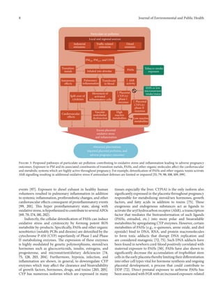 8 Journal of Environmental and Public Health
Particulate air pollution
Local and regional sources
Traffic-related
emissions
Diesel
emission
Industrial
emissions
Tobacco smoke
exposure
CYP1A1
phase I
enzymes
activity
High
reactive
metabolites Low reactive
metabolites
CYP1A1
phase II
enzymes
PAHsInhaled into alveolae
Translocate
in blood
Cardiovascular
effects
Autonomic
effects
Pulmonary
inflammation
Spill-over of
cytokines
Movement of
activated
inflammatory cells
SNPs or low
micronutrient
intake/status
Excess placental
oxidative stress
and inflammation
Vascular
endothelial
dysfunction
Transition
metals
Abnormal placentation,
impaired placental perfusion, and
adverse pregnancy outcomes
↑ AhR
↑ Placental
↑ Placental
PM10, PM2.5, and UFPs
Figure 3: Proposed pathways of particulate air pollution contributing to oxidative stress and inflammation leading to adverse pregnancy
outcomes. Exposure to PM and its associated constituents of transition metals, PAHs, and other organic molecules affect the cardiovascular
and metabolic systems which are highly active throughout pregnancy. For example, detoxification of PAHs and other organic toxins activate
AhR signalling resulting in additional oxidative stress if antioxidant defenses are limited or impaired [55, 79, 98, 108, 109, 199].
events [97]. Exposure to diesel exhaust in healthy human
volunteers resulted in pulmonary inflammation in addition
to systemic inflammation, prothrombotic changes, and other
cardiovascular effects consequent of proinflammatory events
[99, 201]. This hyper proinflammatory state, along with
oxidative stress, is hypothesized to contribute to several APOs
[69, 70, 174, 181, 202].
Indirectly, the cellular detoxification of PAHs can induce
oxidative stress and cytotoxicity by forming potent ROS
metabolite by-products. Specifically, PAHs and other organic
xenobiotics (notably PCBs and dioxins) are detoxified by the
cytochrome P-450 (CYP) superfamily of Phase I and Phase
II metabolizing enzymes. The expression of these enzymes
is highly modulated by genetic polymorphisms, steroid/sex
hormones such as glucocorticoids, insulin, estrogens, and
progesterone, and micronutrient/dietary deficiencies [74,
75, 128, 203, 204]. Furthermore, hypoxia, infection, and
inflammation are shown, in general, to downregulate CYP
enzymes which may affect the clearance and bioavailability
of growth factors, hormones, drugs, and toxins [203, 205].
CYP has numerous isoforms which are expressed in many
tissues especially the liver. CYP1A1 is the only isoform also
significantly expressed in the placenta throughout pregnancy
responsible for metabolizing steroid/sex hormones, growth
factors, and fatty acids in addition to toxins [75]. These
exogenous and endogenous substances act as ligands to
activate the aryl hydrocarbon receptor (AhR), a transcription
factor that mediates the biotransformation of such ligands
(PAHs, estradiol, etc.) into more polar and bioavailable
metabolites by upregulating CYP enzymes. However, certain
metabolites of PAHs (e.g., o-quinones, arene oxide, and diol
epoxide) bind to DNA, RNA, and protein macromolecules
to form toxic adducts that disrupt DNA replication and
are considered mutagenic [72, 75]. Such DNA adducts have
been found in newborn cord-blood positively correlated with
maternal exposure to PAHs [50]. PAHs have also shown to
significantly decrease the accumulation of trophoblast stem
cells in the early placenta thereby limiting their differentiation
into other cell types vital for hormone synthesis and ongoing
placental development, a process that could contribute to
DDP [72]. Direct prenatal exposure to airborne PAHs has
been associated with FGR with an increased exposure-related
 