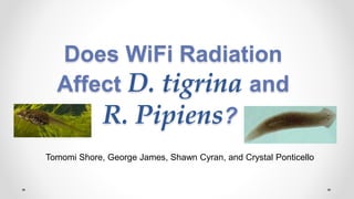 Does WiFi Radiation
Affect D. tigrina and
R. Pipiens?
Tomomi Shore, George James, Shawn Cyran, and Crystal Ponticello
 