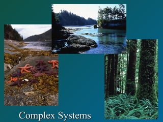 Complex SystemsComplex Systems
 