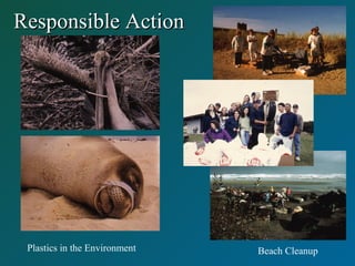 Responsible ActionResponsible Action
Plastics in the Environment Beach Cleanup
 