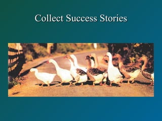 Collect Success StoriesCollect Success Stories
 