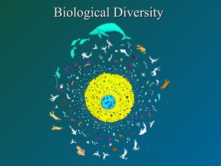 Biological DiversityBiological Diversity
 