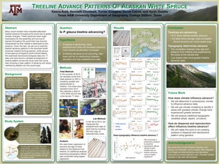 TREELINE ADVANCE PATTERNS OF ALASKAN WHITE SPRUCETREELINE ADVANCE PATTERNS OF ALASKAN WHITE SPRUCE
Keena Auld, Kenneth Chadwell, Turner Glasgow, David Cairns, and Keith Gaddis
Texas A&M University Department of Geography, College Station, Texas
Is P. glauca treeline advancing?
Question
Hypothesis
1. If treeline is advancing, trees
establishment date will decrease (become
more recent) as elevation increases
2. If treeline advance is not occurring, then
there will be no relationship between
elevation and tree establishment date
Methods
Lab Methods
In the fall of 2015, we
measured the
establishment date of
each tree by counting
the tree rings on
extracted tree cores.
Abstract
Many recent studies have indicated altitudinal
treeline advance throughout the world due to global
climatic changes. These advances have major
implications for the assembly and survival of
species throughout the world that may become
marginalized as their habitat is destroyed by this
advance. Given this fact, we set out to examine
treeline advance patterns in the dominant North
American treeline forming species, white spruce
(Picea glauca) throughout south-central Alaska.
We examined Dendrochronological data rom 17
sites and have found a variable arrangement of
treeline pattern across the study area with some
sites showing a clear pattern of advance and others
maintaining stabile over the recent past.
Background
Treeline is an ecotone
where the forest biome
transitions to a tundra at
the highest elevation point
where trees can grow
Changes in climate have a
direct link the global treeline
position. Long winters limit
establishment of seeds and
permafrost prevents deep roots
from penetrating the soil. As
global climates have warmed,
forest biomes have began to
encroach on that of the tundra
leading to treeline advance.
Study System
White spruce (Picea glauca) is
native to the boreal forest of
North America. It has
evergreen needles
accompanied by narrow,
oblong cones. The species
disperses through seeds or
layering (where lower branches
take root to form new trunks
that later separate from the
maternal tree forming a clone).
The area used in this study was south-
central Alaska. The climate of region is
subarctic with temperatures averaging -12
to 18 ˚C throughout the year. Climatic data
has indicated a warming trend in this area.
This region is heavily forested, with high
mountainous terrain.
Results Conclusion
Treelines are advancing
• 5/17 show definite treeline advance
• 3-6 sites show younger trees at treeline
• Recent advance over a short spatial scale
Topography determines advance
• The correlation between tree age and
distance from treeline was explained by
the slope at the sample site.
• Low sloped sites have greater treeline
advance rates.
Acknowledgements
Future Work
How does climate influence advance?
• We will determine if contemporary climate
to influence advance rates.
• We will use climate modelling to identify if
areas with greatest climatic change have
experienced greater advance.
• We will analyze additional topographic
variables (slope, aspect, curvature)
How do dispersal and reproduction
affect influence treeline advance?
• We will relate this work to our existing
analysis of dispersal and reproductive
pattern using genetics.
Treeline Advance
Infilling
No Pattern
We would like to thank Rachel Clausing, Zac
Harlow, and Michelle Lee for tireless field collection.
Clint Magill provided guidance and laboratory
resources to conduct genetic work. Parveen Chhetri
assisted in lab work and analysis.
1840
1860
1880
1900
1920
1940
1960
1980
2000
2020
0 100 200 300 400 500 600
EstablishmentYear
Distance From Treeline (m)
Site 16 P-value > 0.05
1900
1920
1940
1960
1980
2000
2020
2040
0 100 200 300 400 500 600
EstablishmentYear
Distance From Treeline (m)
Site 20 P-value > 0.05
1750
1800
1850
1900
1950
2000
2050
0 100 200 300 400 500 600
EstablishmentYear
Distance From Treeline (m)
Site 25 P-value > 0.05
1900
1920
1940
1960
1980
2000
2020
2040
0 100 200 300 400 500 600
EstablishmentYear
Distance From Treeline (m)
Site 28 P-value > 0.05
1750
1800
1850
1900
1950
2000
2050
0 100 200 300 400 500 600
EstablishmentYear
Distance From Treeline (m)
Site 32 P-value > 0.05
1750
1800
1850
1900
1950
2000
2050
0 100 200 300 400 500 600
EstablishmentYear
Distance From Treeline (m)
Site 33 Adjusted R-squred: 0.08
P-value < 0.05
1450
1550
1650
1750
1850
1950
2050
0 100 200 300 400 500 600
EstablishmentYear
Distance From Treeline (m)
Site 34 P-value > 0.05
1860
1880
1900
1920
1940
1960
1980
2000
2020
2040
0 100 200 300 400 500 600
EstablishmentYear
Distance From Treeline (m)
Site 41 Adjusted R-squred: 0.27
P-value < 0.001
1650
1700
1750
1800
1850
1900
1950
2000
2050
0 100 200 300 400 500 600
EstablishmentYear
Distance From Treeline (m)
Site 36 Adjusted R-squred: 0.10
P-value < 0.05
1850
1900
1950
2000
2050
0 100 200 300 400 500 600
EStablishmentYear
Distance From Treeline (m)
Site 43 P-value > 0.05
1850
1900
1950
2000
2050
0 100 200 300 400 500 600
EstablishmentYear
Distance From Treeline (m)
Site 46 P-value > 0.05
1650
1700
1750
1800
1850
1900
1950
2000
2050
0 100 200 300 400 500 600
EstablishmentYear
Distance From Treeline (m)
Site 55 P-value > 0.05
1900
1920
1940
1960
1980
2000
2020
2040
0 100 200 300 400 500 600
EstablishmentYear
Distance From Treeline (m)
Site 58 Adjusted R-squred: 0.25
P-value < 0.001
1800
1850
1900
1950
2000
2050
0 100 200 300 400 500 600
EstablishmnetYear
Distance From Treeline (m)
Site 68 Adjusted R-squred: 0.28
P-value < 0.001
1860
1880
1900
1920
1940
1960
1980
2000
2020
2040
0 100 200 300 400 500 600
EstablishmentYear
Distance From Treeline (m)
Site 71 P-value > 0.05
1800
1850
1900
1950
2000
2050
0 100 200 300 400 500 600
EstablishmentYear
Distance From Treeline (m)
Site 75 Adjusted R-squred: 0.19
P-value < 0.001
1650
1700
1750
1800
1850
1900
1950
2000
2050
0 100 200 300 400 500 600
EstablishmentYear
Distance From Treeline (m)
Site 76 P-value > 0.05
Field Methods
In the summer of 2015,
we sampled cores from
trees spaced on 500 m
transects parallel and
perpendicular to
treeline. Five trees were
sampled every 50 m.
We collected a total of
1,870 white spruce tree
cores across 17 sites.
Analysis
We used linear regression to
examine the age of trees
relative to the distance from
treeline. An additional analysis
examining topographic effects
was conducted using logistic
regression
y = 0.0569ln(x) + 0.0805
R² = 0.3586
-0.25
-0.2
-0.15
-0.1
-0.05
0
0.05
0.1
0.15
0 0.05 0.1 0.15 0.2 0.25 0.3 0.35 0.4
CorrelationCoefficient(r)
Slope of Sample Site
Does topography influence treeline advance ?
We conducted a
preliminary analysis
to examine
topographic effects
(slope at each
sample site) on
treeline advance,
using a logistic
regression.
 