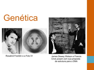 Genética
Rosalind Franklin e a Foto 51 James Dewey Watson e Francis
Crick posam com sua proposta
de estrutura para o DNA
 