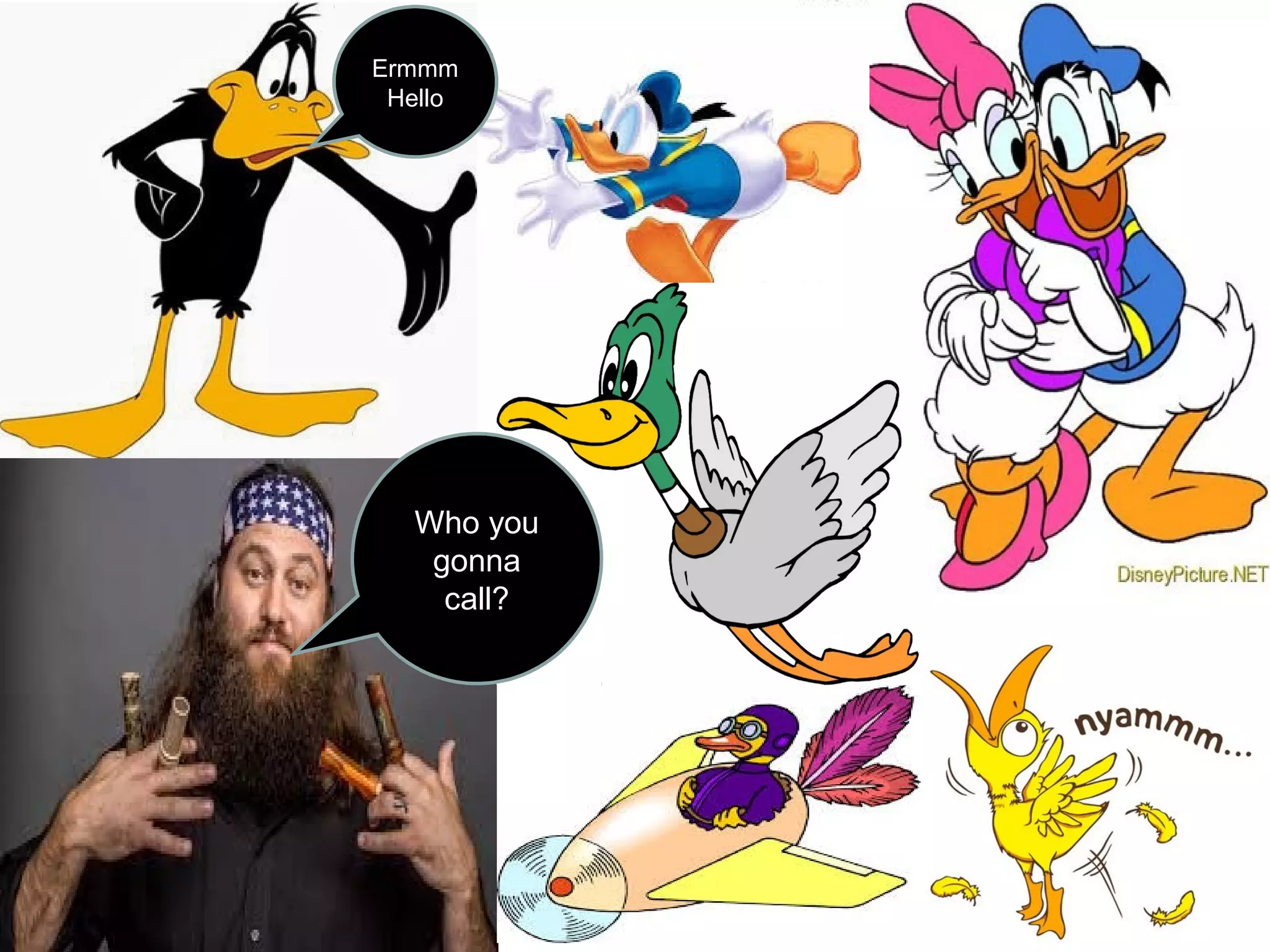 Ermmm 
Hello 
Who you 
gonna 
call? 
 