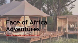 MARGIE'S
TRAVEL
1
M
Face of Africa
Adventures
https://faceafricaadventures.com/
 