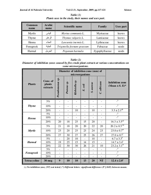 Essay principle population summary