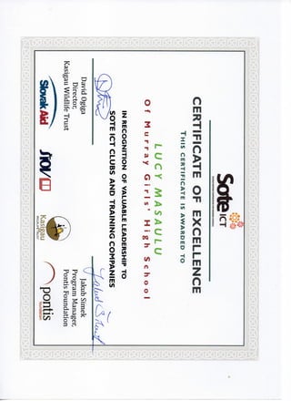 SoteICT certificate