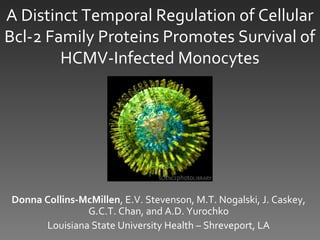 A Distinct Temporal Regulation of Cellular
Bcl-2 Family Proteins Promotes Survival of
HCMV-Infected Monocytes
Donna Collins-McMillen, E.V. Stevenson, M.T. Nogalski, J. Caskey,
G.C.T. Chan, and A.D. Yurochko
Louisiana State University Health – Shreveport, LA
 