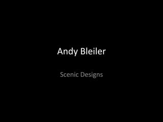 Andy Bleiler
Scenic Designs
 