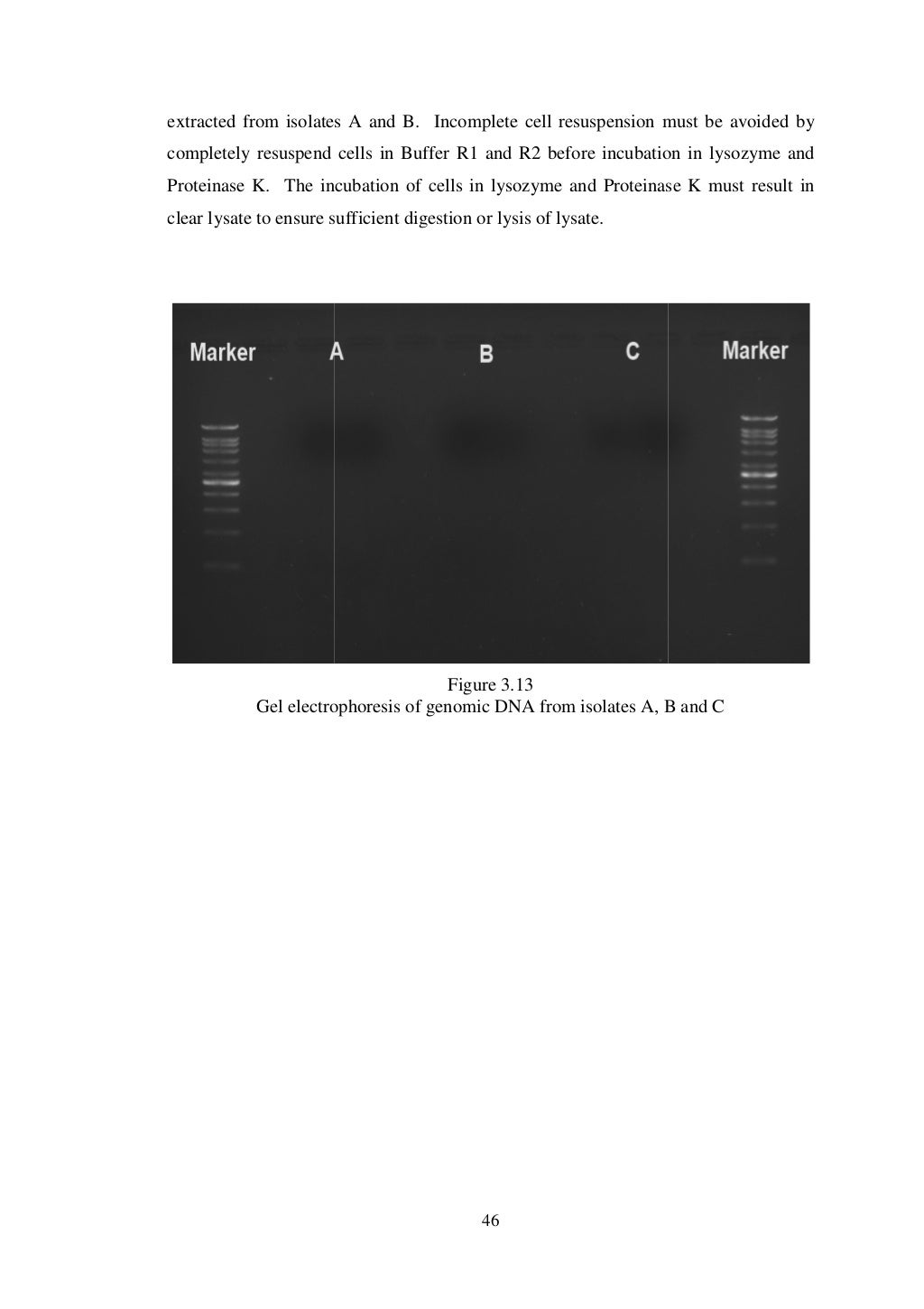 Thesis vs project difference image
