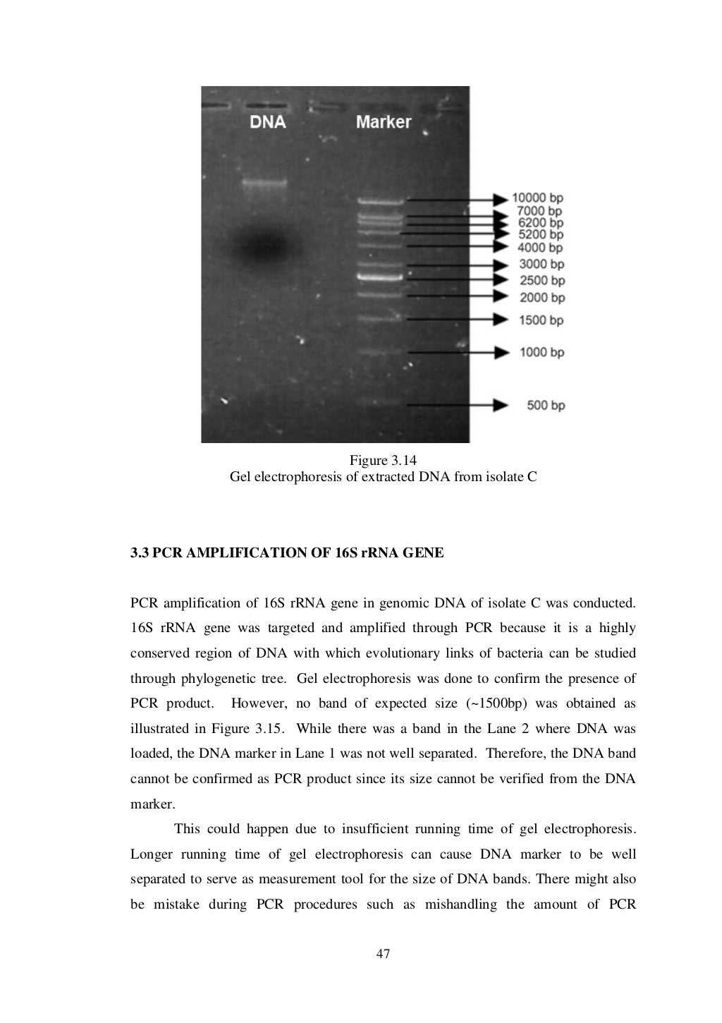 Final year project thesis example picture