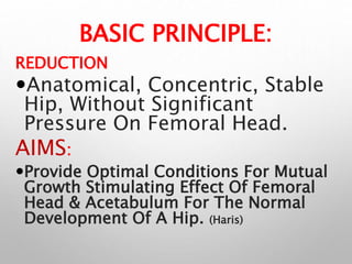 4 ddh principles & protocols 3 & above | PPT