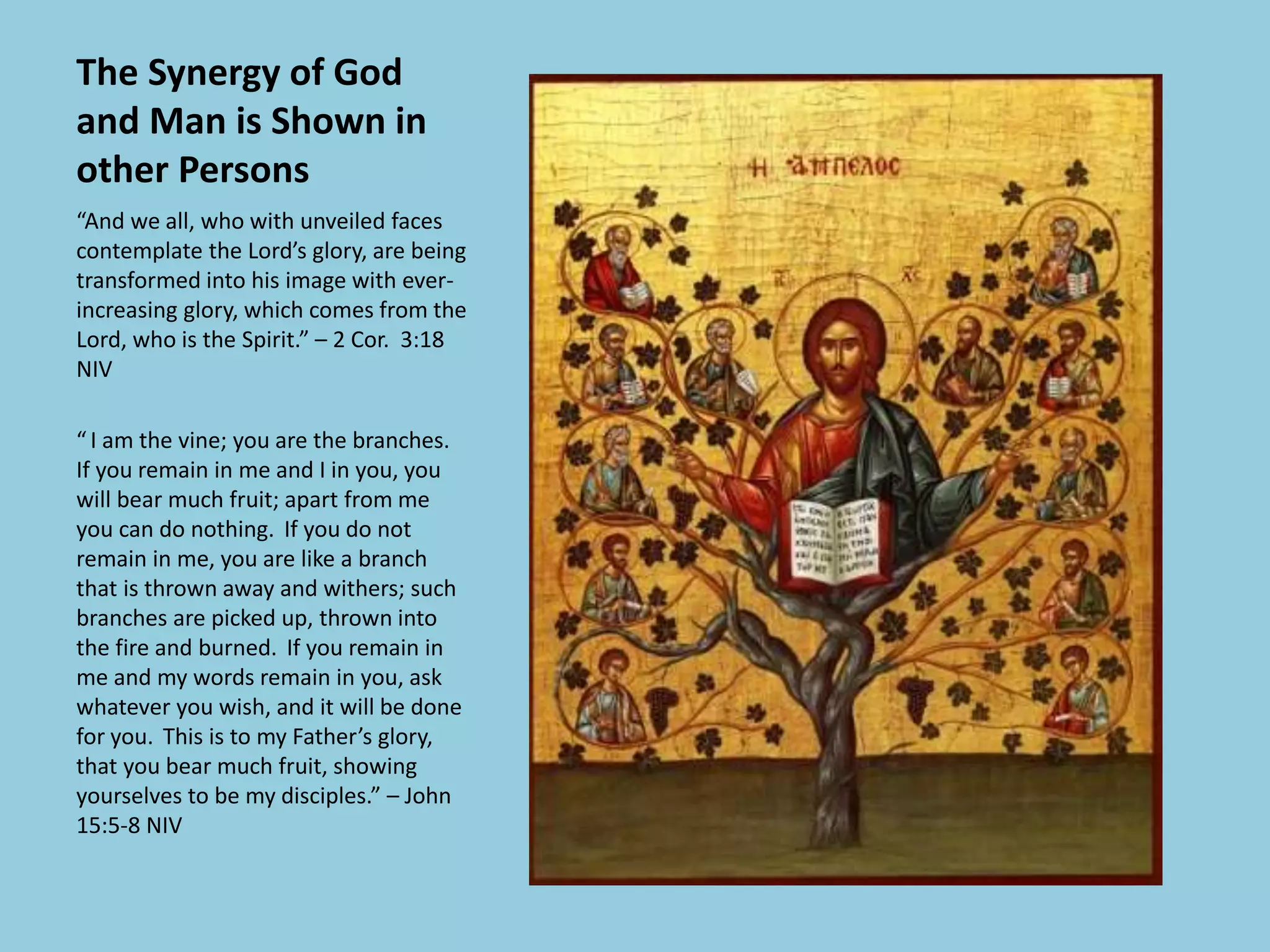 The Synergy of God
and Man is Shown in
other Persons
“And we all, who with unveiled faces
contemplate the Lord’s glory, are being
transformed into his image with ever-
increasing glory, which comes from the
Lord, who is the Spirit.” – 2 Cor. 3:18
NIV
“ I am the vine; you are the branches.
If you remain in me and I in you, you
will bear much fruit; apart from me
you can do nothing. If you do not
remain in me, you are like a branch
that is thrown away and withers; such
branches are picked up, thrown into
the fire and burned. If you remain in
me and my words remain in you, ask
whatever you wish, and it will be done
for you. This is to my Father’s glory,
that you bear much fruit, showing
yourselves to be my disciples.” – John
15:5-8 NIV
 
