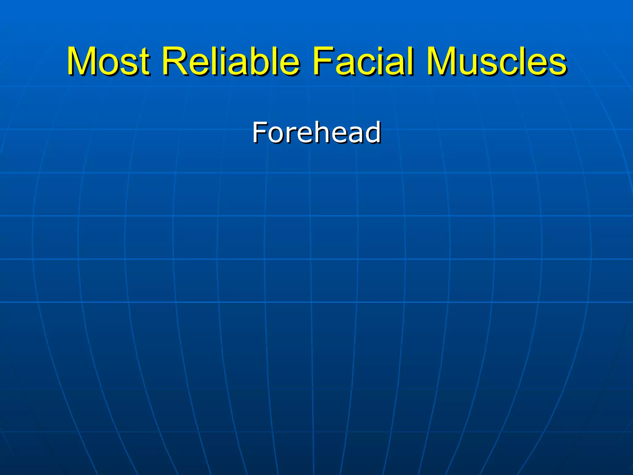 Most Reliable Facial Muscles Forehead 