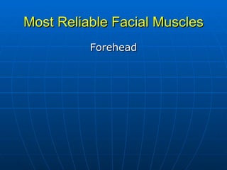 Most Reliable Facial Muscles Forehead 