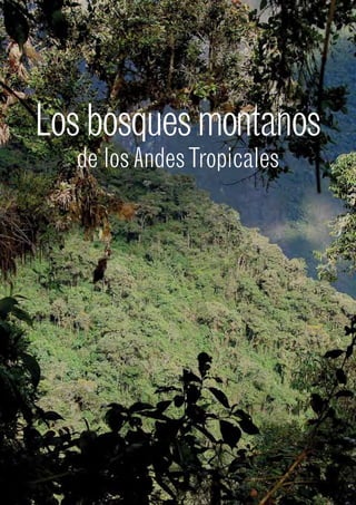 Los bosques montanos
de los Andes Tropicales

Los bosques montanos
de los Andes Tropicales

 