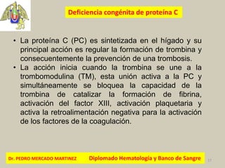 Dr. PEDRO MERCADO MARTINEZ Diplomado Hematología y Banco de Sangre 17
Deficiencia congénita de proteína C
• La proteína C ...