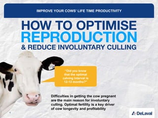IMPROVE YOUR COWS’ LIFE TIME PRODUCTIVITY
Difficulties in getting the cow pregnant
are the main reason for involuntary
culling. Optimal fertility is a key driver
of cow longevity and profitability
“Did you know
that the optimal
calving interval is
12-13 months?”
1
 
