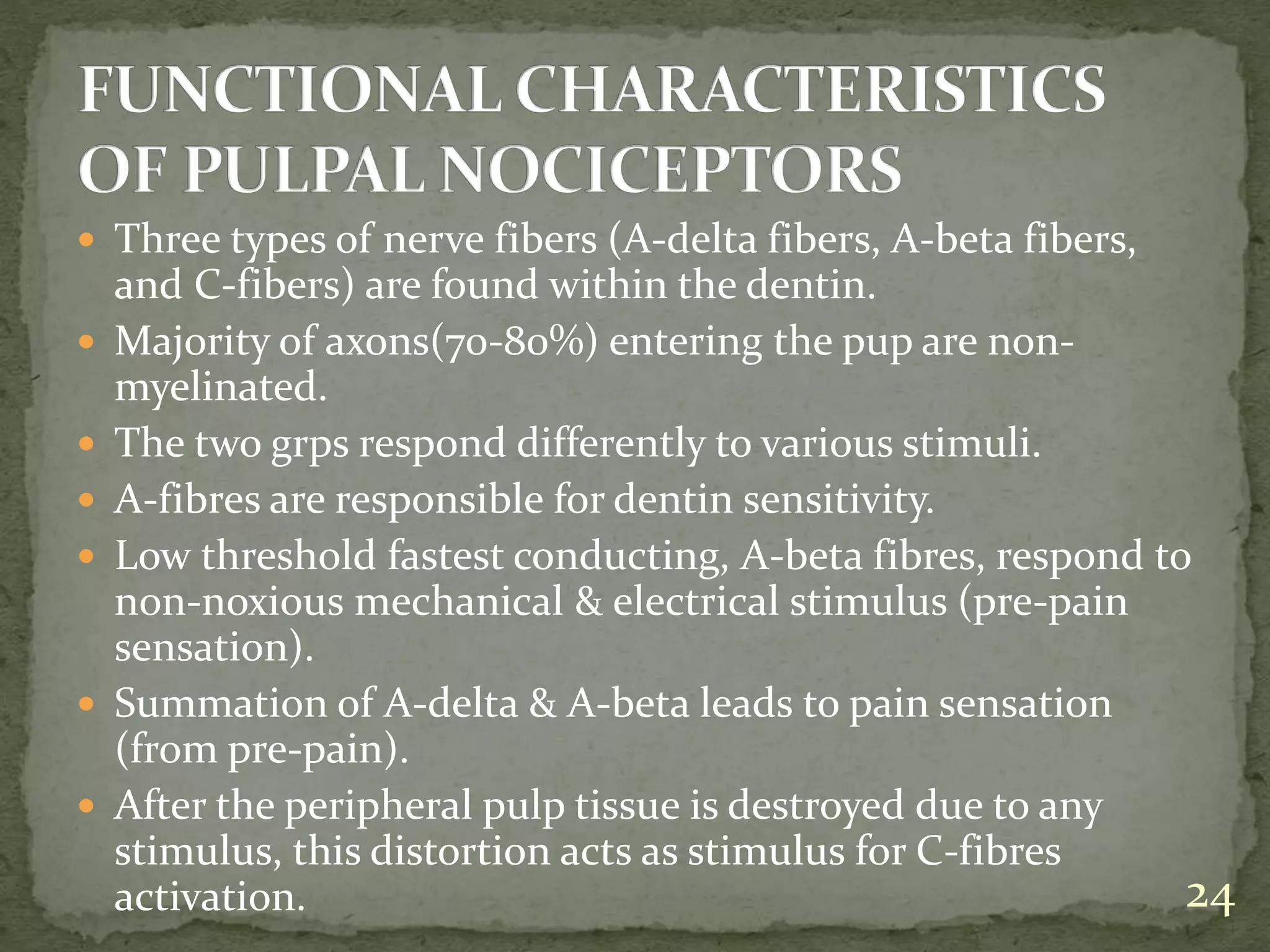  Three types of nerve fibers (A-delta fibers, A-beta fibers,
and C-fibers) are found within the dentin.
 Majority of axons(70-80%) entering the pup are non-
myelinated.
 The two grps respond differently to various stimuli.
 A-fibres are responsible for dentin sensitivity.
 Low threshold fastest conducting, A-beta fibres, respond to
non-noxious mechanical & electrical stimulus (pre-pain
sensation).
 Summation of A-delta & A-beta leads to pain sensation
(from pre-pain).
 After the peripheral pulp tissue is destroyed due to any
stimulus, this distortion acts as stimulus for C-fibres
activation. 24
 