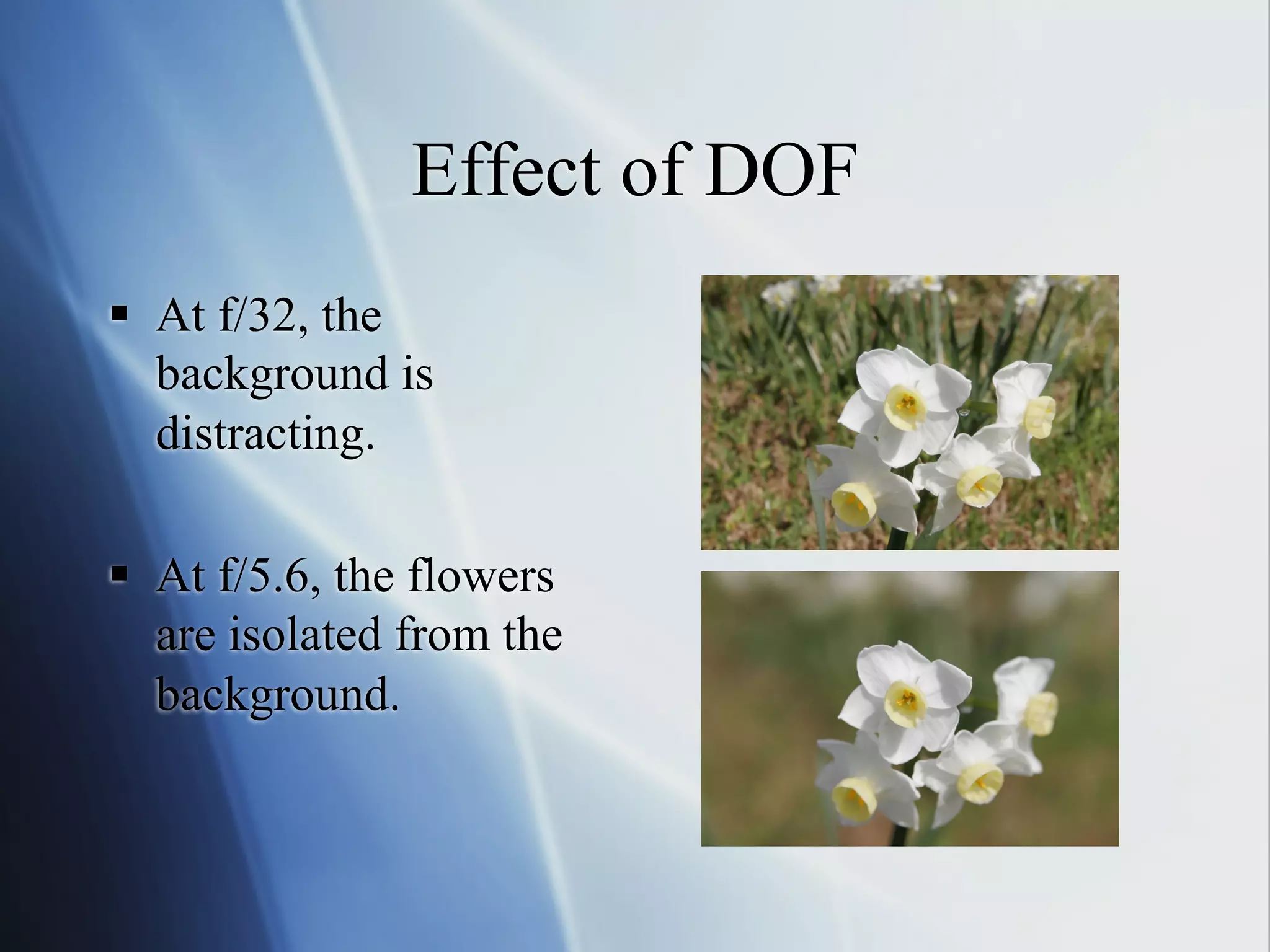 Effect of DOF
§  At f/32, the
background is
distracting.
§  At f/5.6, the flowers
are isolated from the
background.

 