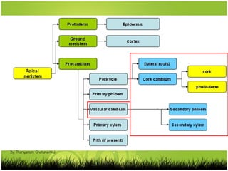 By Thanyamon Chaturavitkul
 