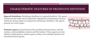 CHARACTERISTIC FEATURES OF DECIDUOUS DENTITION
Spaced Dentition: Deciduous dentition is a spaced dentition. The spaces
in between the teeth can be utilized for adjustment of permanent incisors
which are always larger in compared to deciduous dentition. The spaces
present are of two types:
Primate spaces: Exist between the maxillary lateral incisors and the
canines, and mandibular canines and first molars. These spaces are also
called as anthropoid or simian spaces as they were initially found in our
ancestral simian species.
 