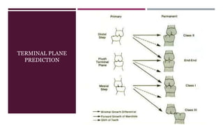 TERMINAL PLANE
PREDICTION
 