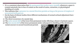 • It is a consistent observation that the permanent first molars move mesially whenever a space is
created anteriorly due to loss of contact as the result of caries, extraction, or physiological
shedding of a tooth.
• This indicates that a pressure in a mesial direction persists as long as the process of eruption of
accessional teeth goes on.
• On the basis of clinical studies three different mechanisms of normal occlusal adjustment have
been described:
1) The direct occurrence of a mesial step.
2) The early mesial shift of the lower first permanent molar effecting a closure of primate spaces.
3) The late mesial shift of the lower permanent molar subsequent to shedding of the deciduous
molars.(occurs in second transitional period)
 