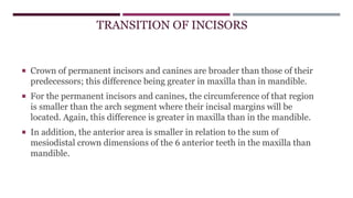 TRANSITION OF INCISORS
 Crown of permanent incisors and canines are broader than those of their
predecessors; this difference being greater in maxilla than in mandible.
 For the permanent incisors and canines, the circumference of that region
is smaller than the arch segment where their incisal margins will be
located. Again, this difference is greater in maxilla than in the mandible.
 In addition, the anterior area is smaller in relation to the sum of
mesiodistal crown dimensions of the 6 anterior teeth in the maxilla than
mandible.
 