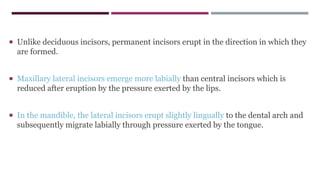 Unlike deciduous incisors, permanent incisors erupt in the direction in which they
are formed.
 Maxillary lateral incisors emerge more labially than central incisors which is
reduced after eruption by the pressure exerted by the lips.
 In the mandible, the lateral incisors erupt slightly lingually to the dental arch and
subsequently migrate labially through pressure exerted by the tongue.
 