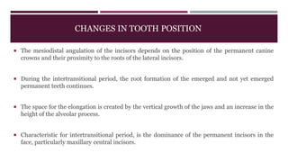 CHANGES IN TOOTH POSITION
 The mesiodistal angulation of the incisors depends on the position of the permanent canine
crowns and their proximity to the roots of the lateral incisors.
 During the intertransitional period, the root formation of the emerged and not yet emerged
permanent teeth continues.
 The space for the elongation is created by the vertical growth of the jaws and an increase in the
height of the alveolar process.
 Characteristic for intertransitional period, is the dominance of the permanent incisors in the
face, particularly maxillary central incisors.
 