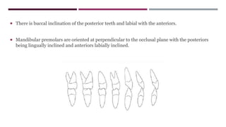  There is buccal inclination of the posterior teeth and labial with the anteriors.
 Mandibular premolars are oriented at perpendicular to the occlusal plane with the posteriors
being lingually inclined and anteriors labially inclined.
 