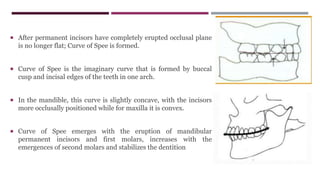  After permanent incisors have completely erupted occlusal plane
is no longer flat; Curve of Spee is formed.
 Curve of Spee is the imaginary curve that is formed by buccal
cusp and incisal edges of the teeth in one arch.
 In the mandible, this curve is slightly concave, with the incisors
more occlusally positioned while for maxilla it is convex.
 Curve of Spee emerges with the eruption of mandibular
permanent incisors and first molars, increases with the
emergences of second molars and stabilizes the dentition
 