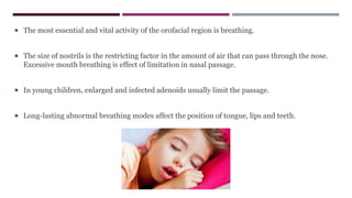  The most essential and vital activity of the orofacial region is breathing.
 The size of nostrils is the restricting factor in the amount of air that can pass through the nose.
Excessive mouth breathing is effect of limitation in nasal passage.
 In young children, enlarged and infected adenoids usually limit the passage.
 Long-lasting abnormal breathing modes affect the position of tongue, lips and teeth.
 
