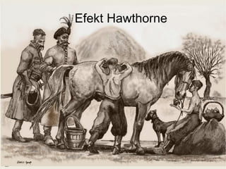 Efekt Hawthorne
 