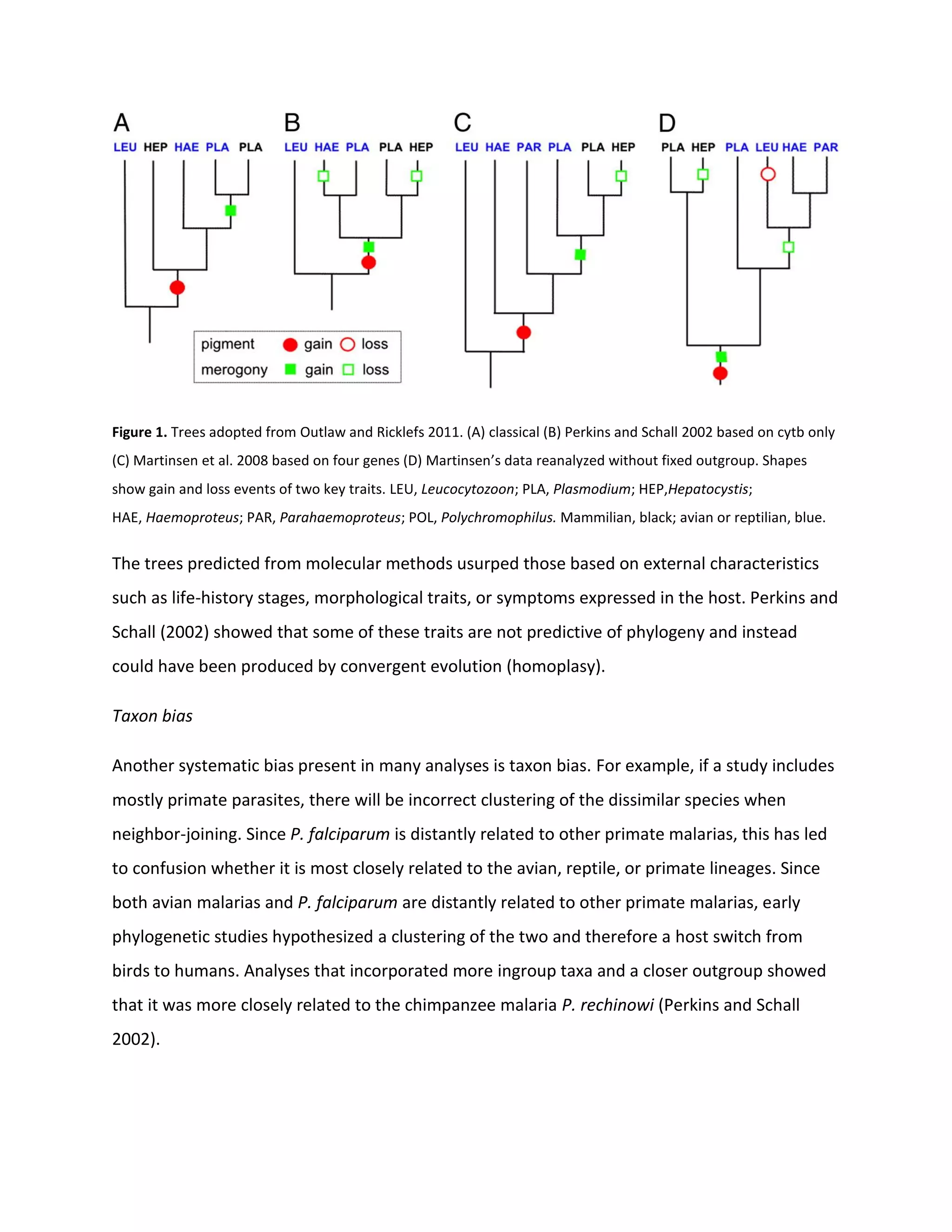Figure 1. Trees adopted from Outlaw and Ricklefs 2011. (A) classical (B) Perkins and Schall 2002 based on cytb only
(C) Martinsen et al. 2008 based on four genes (D) Martinsen’s data reanalyzed without fixed outgroup. Shapes
show gain and loss events of two key traits. LEU, Leucocytozoon; PLA, Plasmodium; HEP,Hepatocystis;
HAE, Haemoproteus; PAR, Parahaemoproteus; POL, Polychromophilus. Mammilian, black; avian or reptilian, blue.
The trees predicted from molecular methods usurped those based on external characteristics
such as life-history stages, morphological traits, or symptoms expressed in the host. Perkins and
Schall (2002) showed that some of these traits are not predictive of phylogeny and instead
could have been produced by convergent evolution (homoplasy).
Taxon bias
Another systematic bias present in many analyses is taxon bias. For example, if a study includes
mostly primate parasites, there will be incorrect clustering of the dissimilar species when
neighbor-joining. Since P. falciparum is distantly related to other primate malarias, this has led
to confusion whether it is most closely related to the avian, reptile, or primate lineages. Since
both avian malarias and P. falciparum are distantly related to other primate malarias, early
phylogenetic studies hypothesized a clustering of the two and therefore a host switch from
birds to humans. Analyses that incorporated more ingroup taxa and a closer outgroup showed
that it was more closely related to the chimpanzee malaria P. rechinowi (Perkins and Schall
2002).
 
